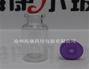 海康中性硼硅玻璃瓶-河北中性硼硅玻璃瓶-药用中性硼硅玻璃瓶